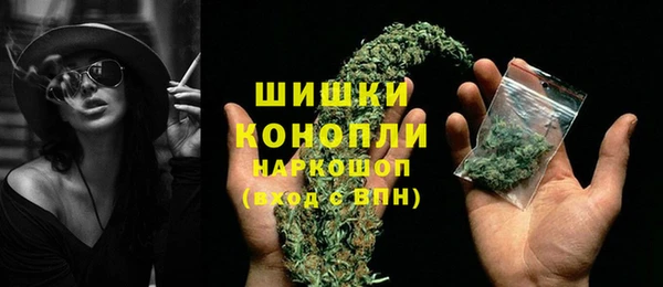 ПСИЛОЦИБИНОВЫЕ ГРИБЫ Белая Холуница