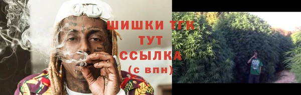ешки Нефтегорск