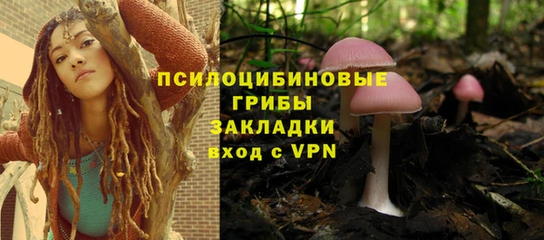 первитин Новозыбков