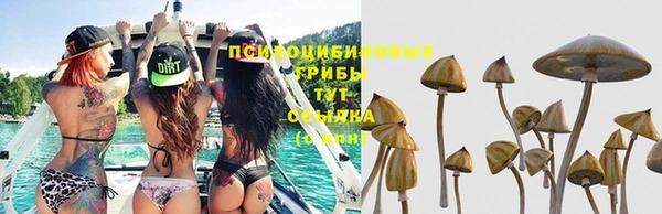 ешки Нефтегорск