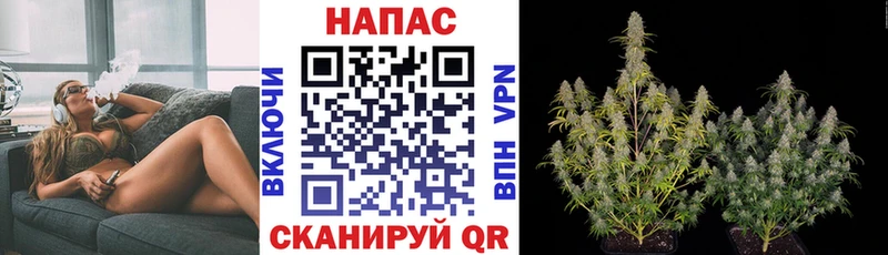 Каннабис VHQ  Находка 